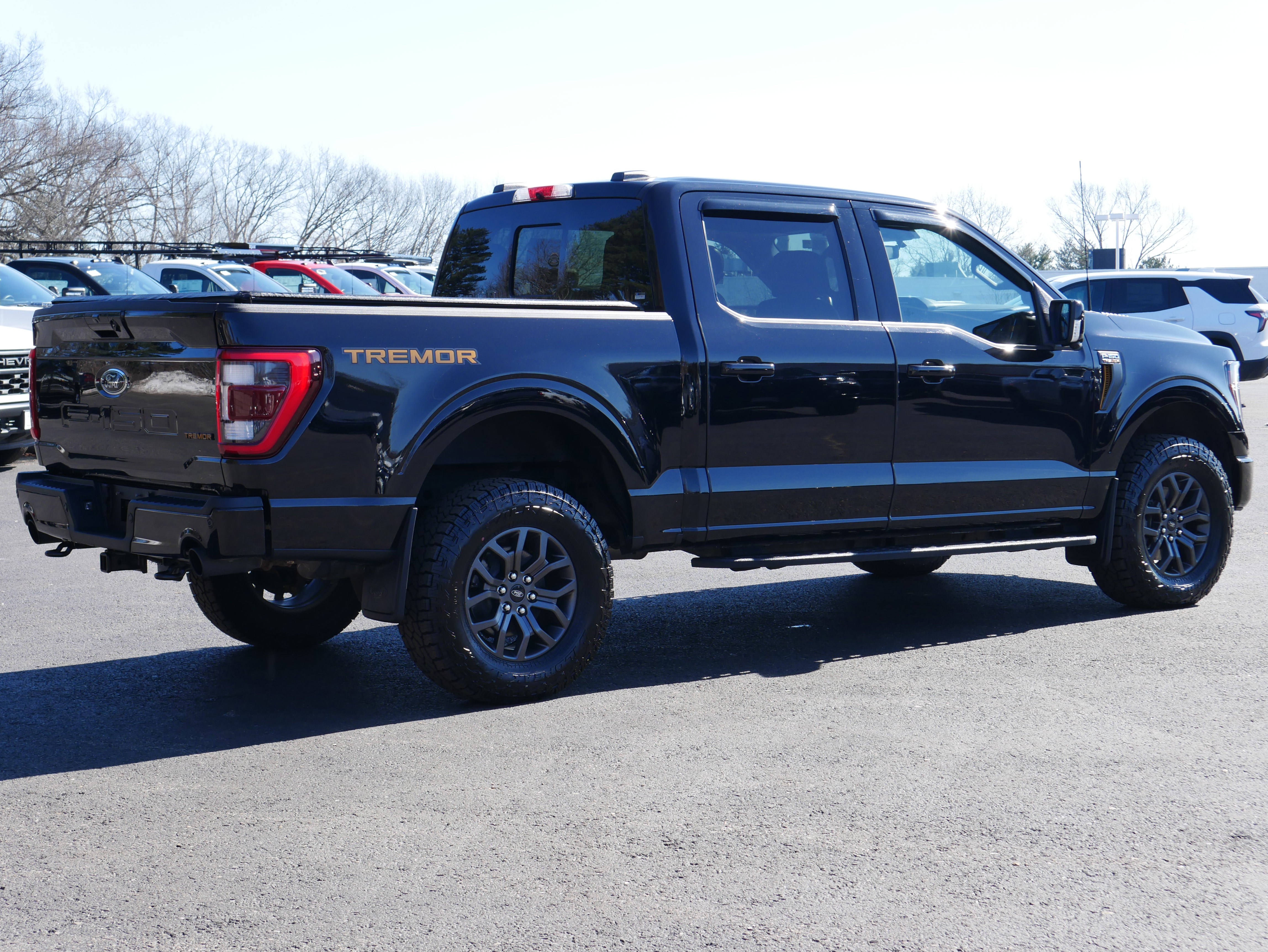 Used 2022 Ford F150 Tremor w/ Equipment Group 402A High image 6