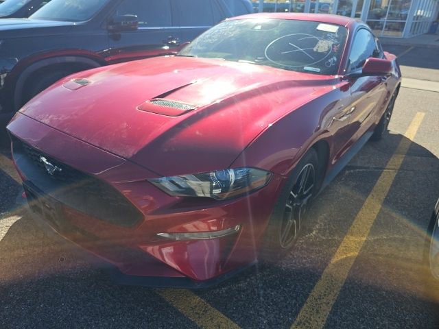 Used 2021 Ford Mustang Premium w/ Equipment Group 201A image 6