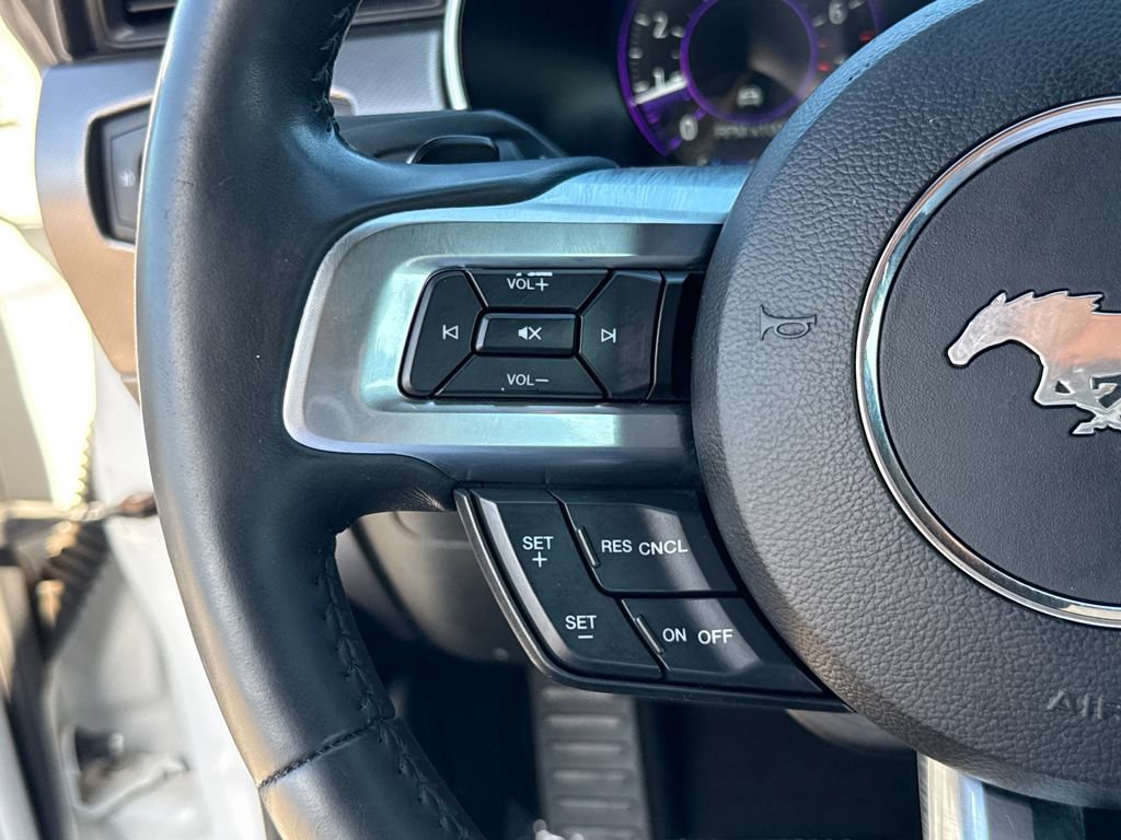 Certified 2019 Ford Mustang Premium w/ Equipment Group 201A RWD image 16