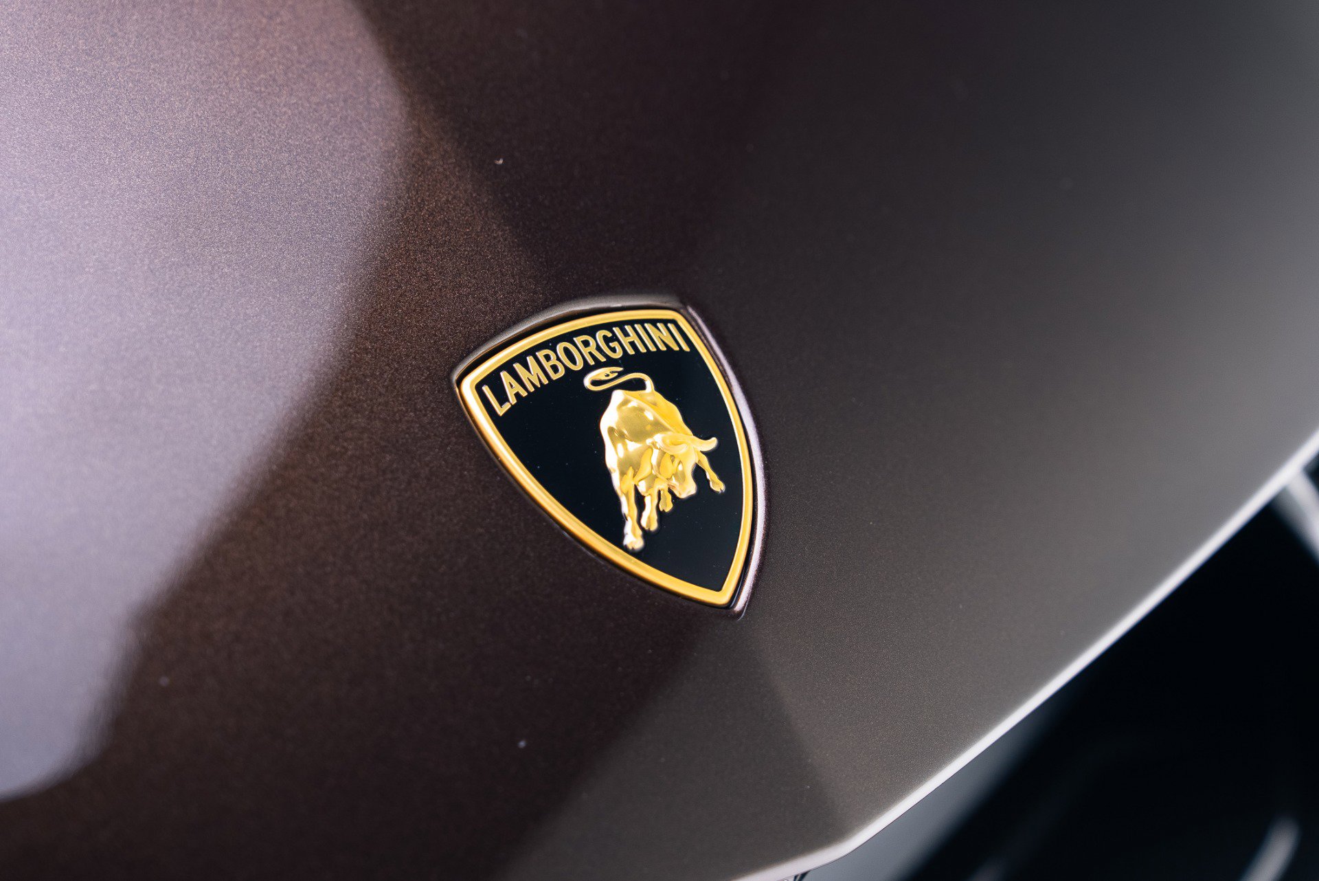 Used 2025 Lamborghini Revuelto image 10