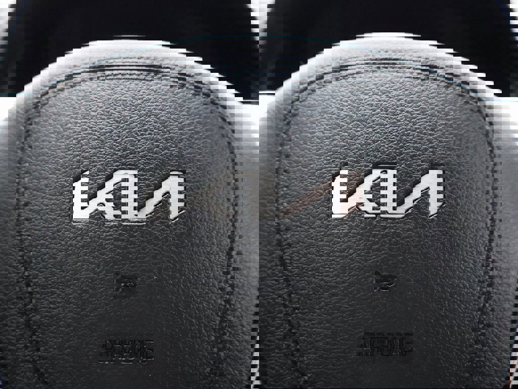 Used 2022 Kia Telluride SX w/ SX Prestige Package image 30