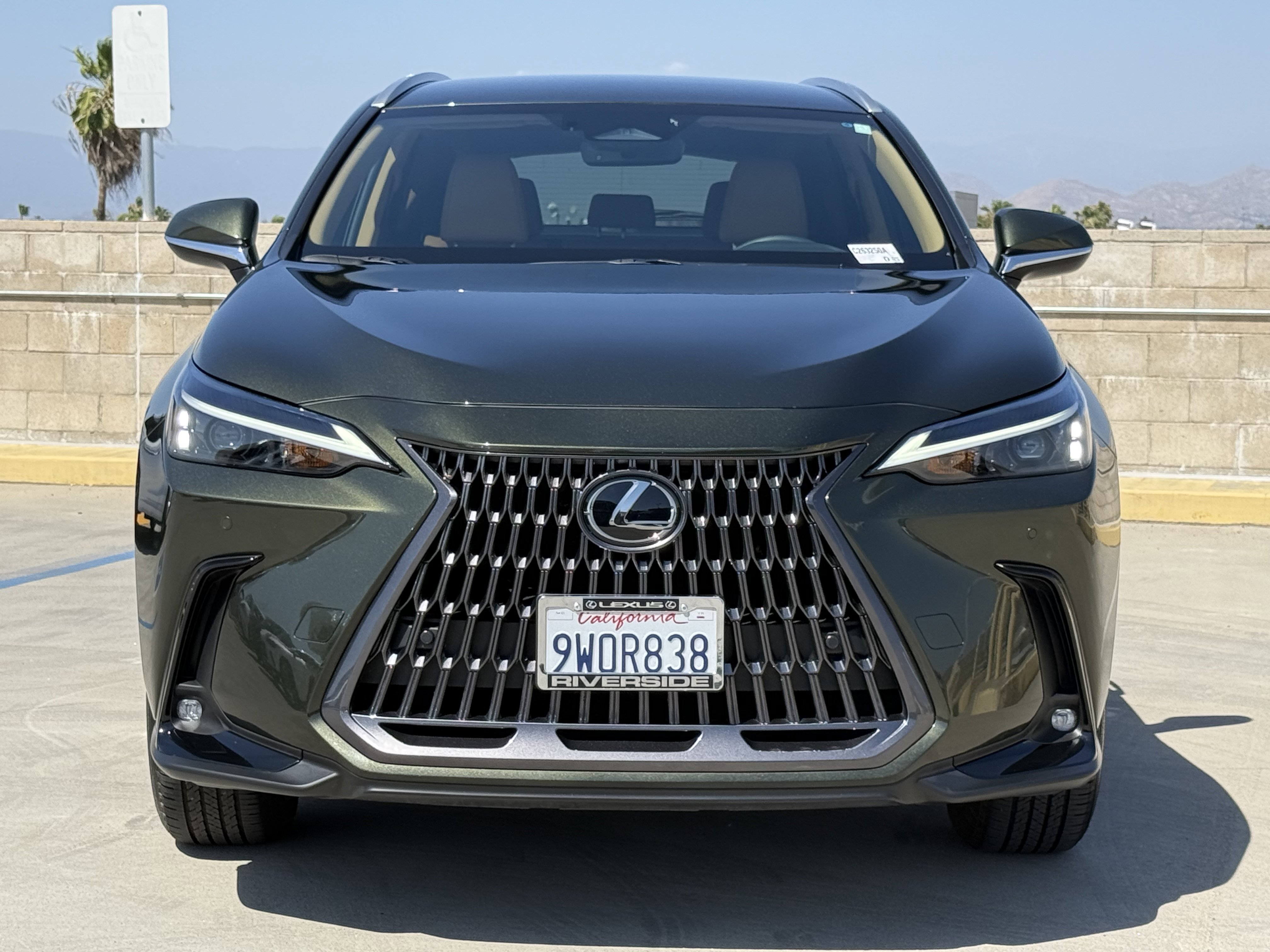 Certified 2026 Lexus NX 350 AWD image 6