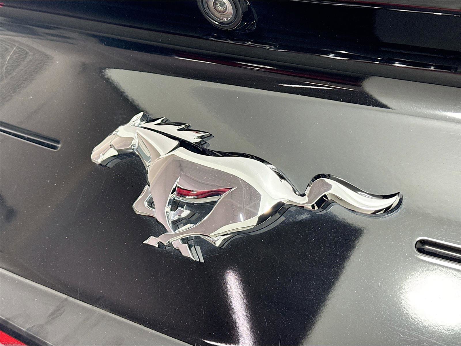 Used 2022 Ford Mustang Premium w/ Equipment Group 201A image 14