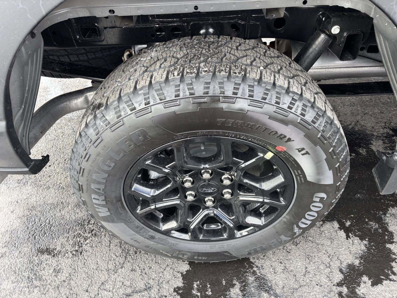 New 2025 Ford F150 XLT w/ Equipment Group 302A MID image 10