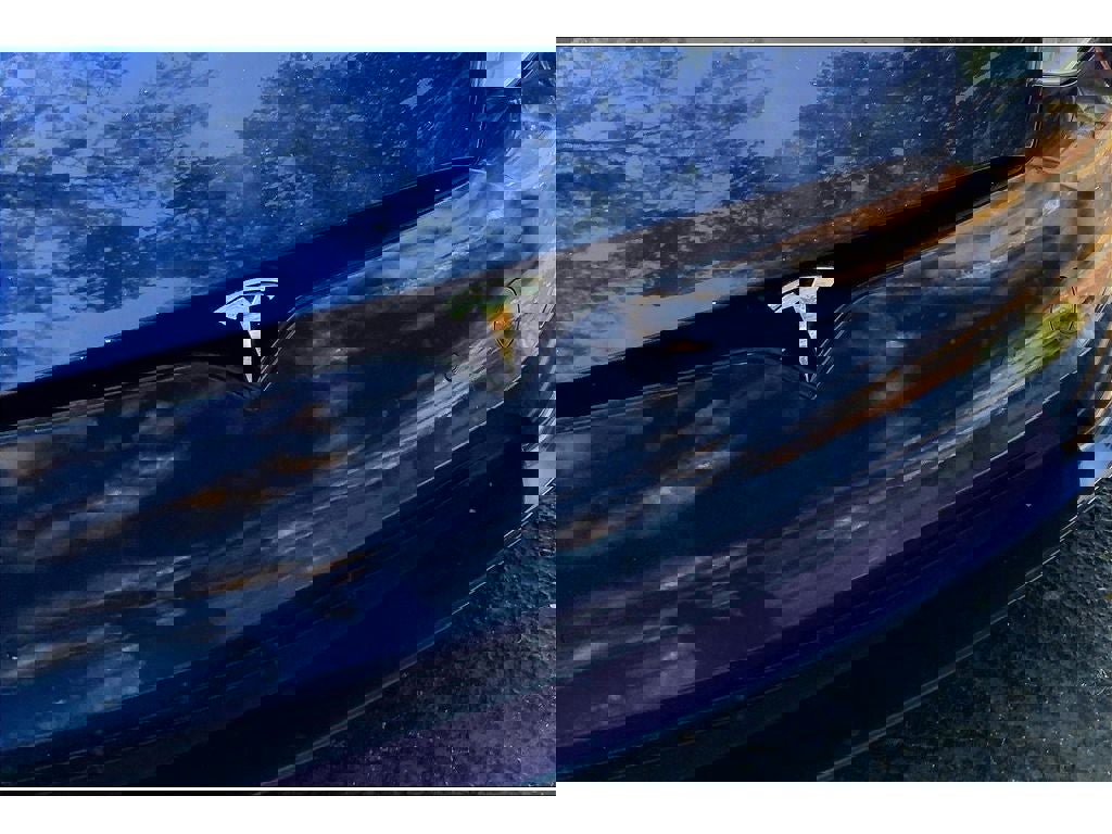 Used 2021 Tesla Model S Long Range image 29