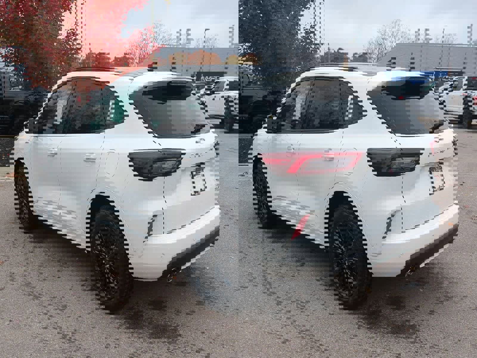 Used 2024 Ford Escape ST-Line Elite w/ Premium Technology Package image 6