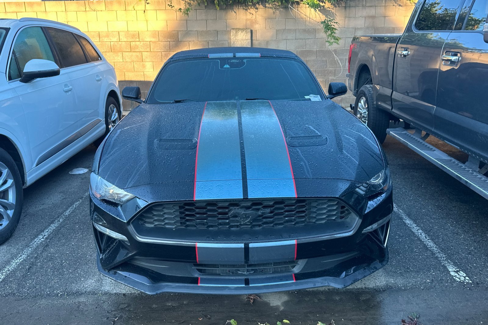 Used 2022 Ford Mustang Convertible w/ Equipment Group 101A image 7