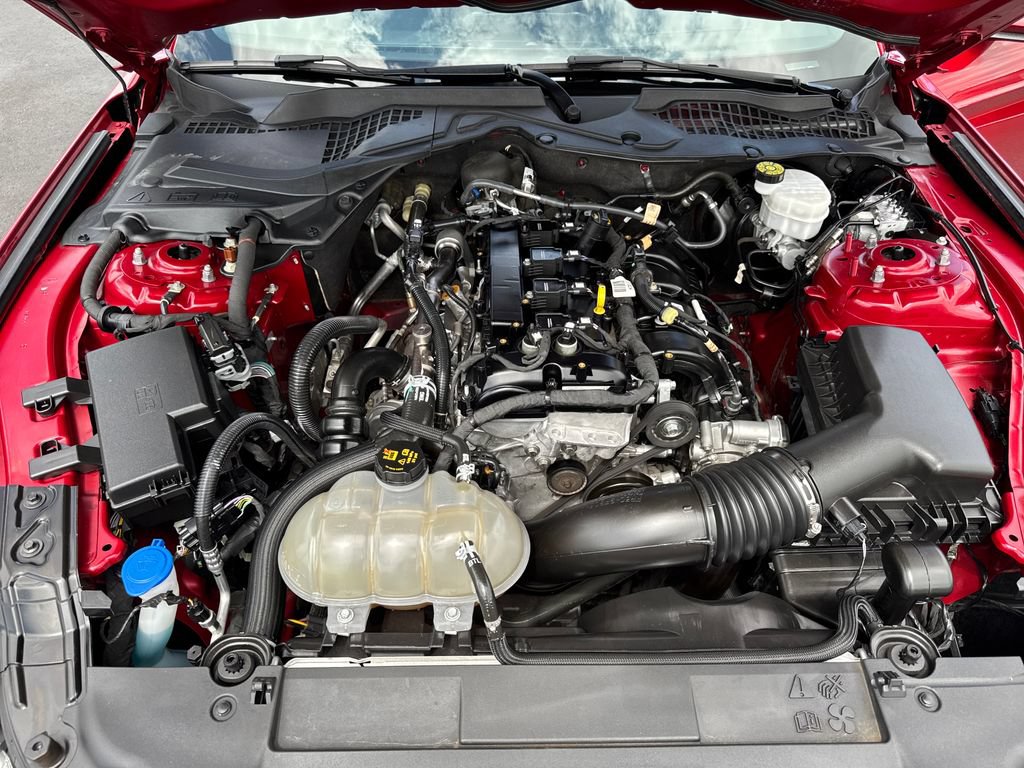 Used 2022 Ford Mustang Coupe w/ Equipment Group 101A RWD image 21