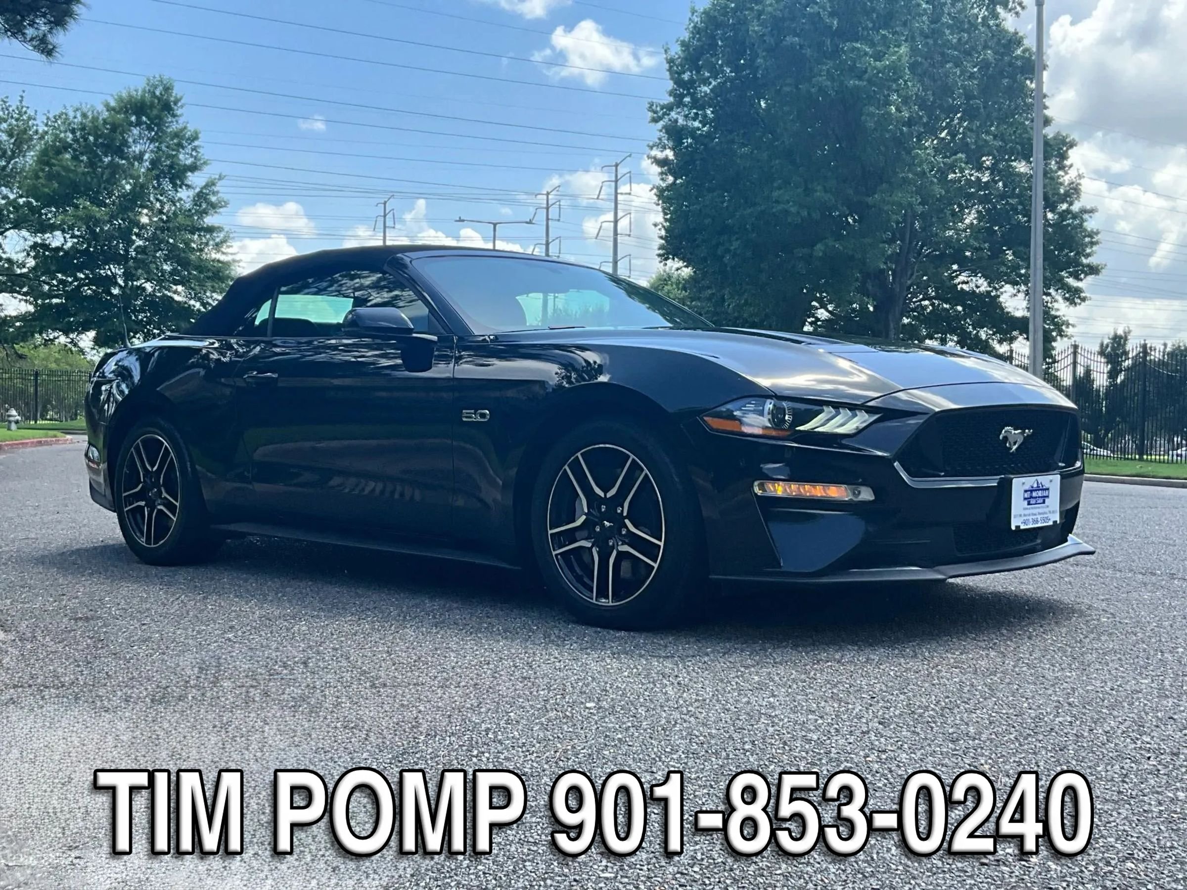 Used 2019 Ford Mustang GT Premium w/ Equipment Group 401A RWD image 4