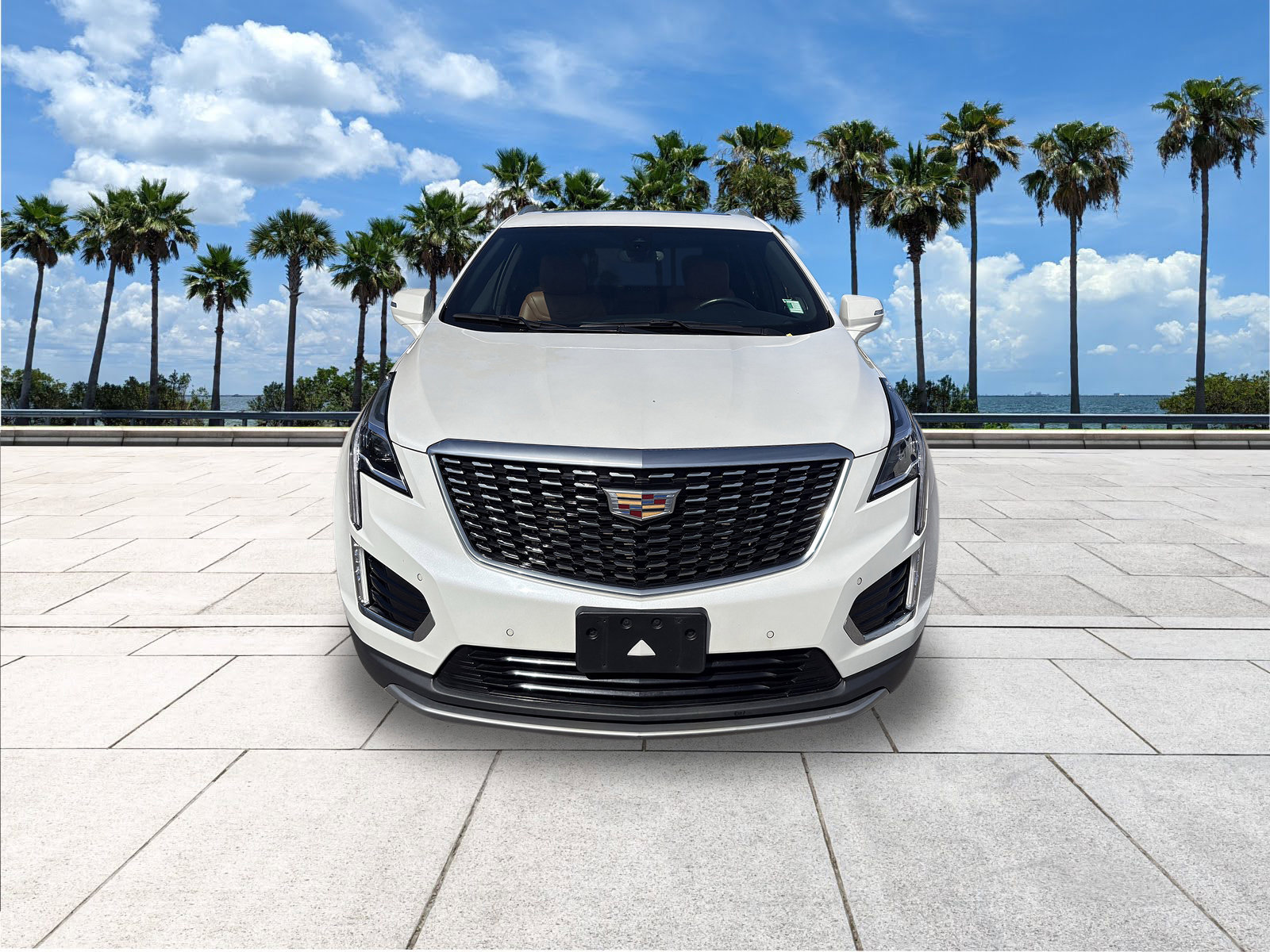 Used 2021 Cadillac XT5 Premium Luxury image 3