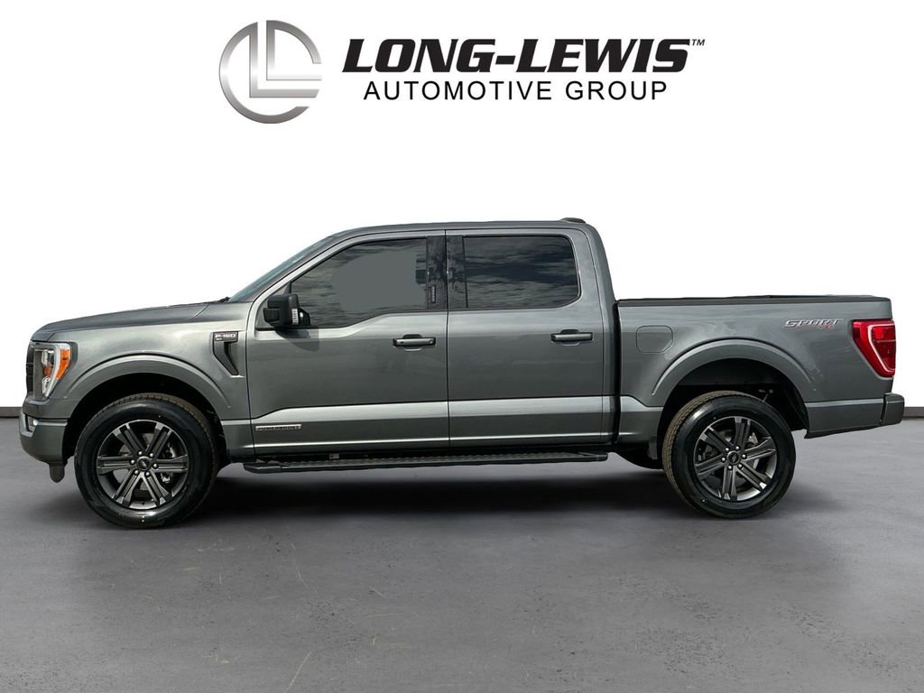 Used 2023 Ford F150 XLT w/ Equipment Group 302A High image 2
