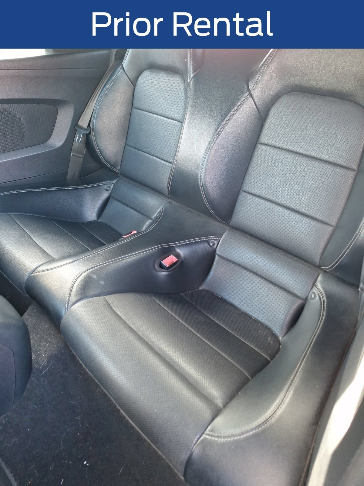 Used 2020 Ford Mustang Premium RWD image 15