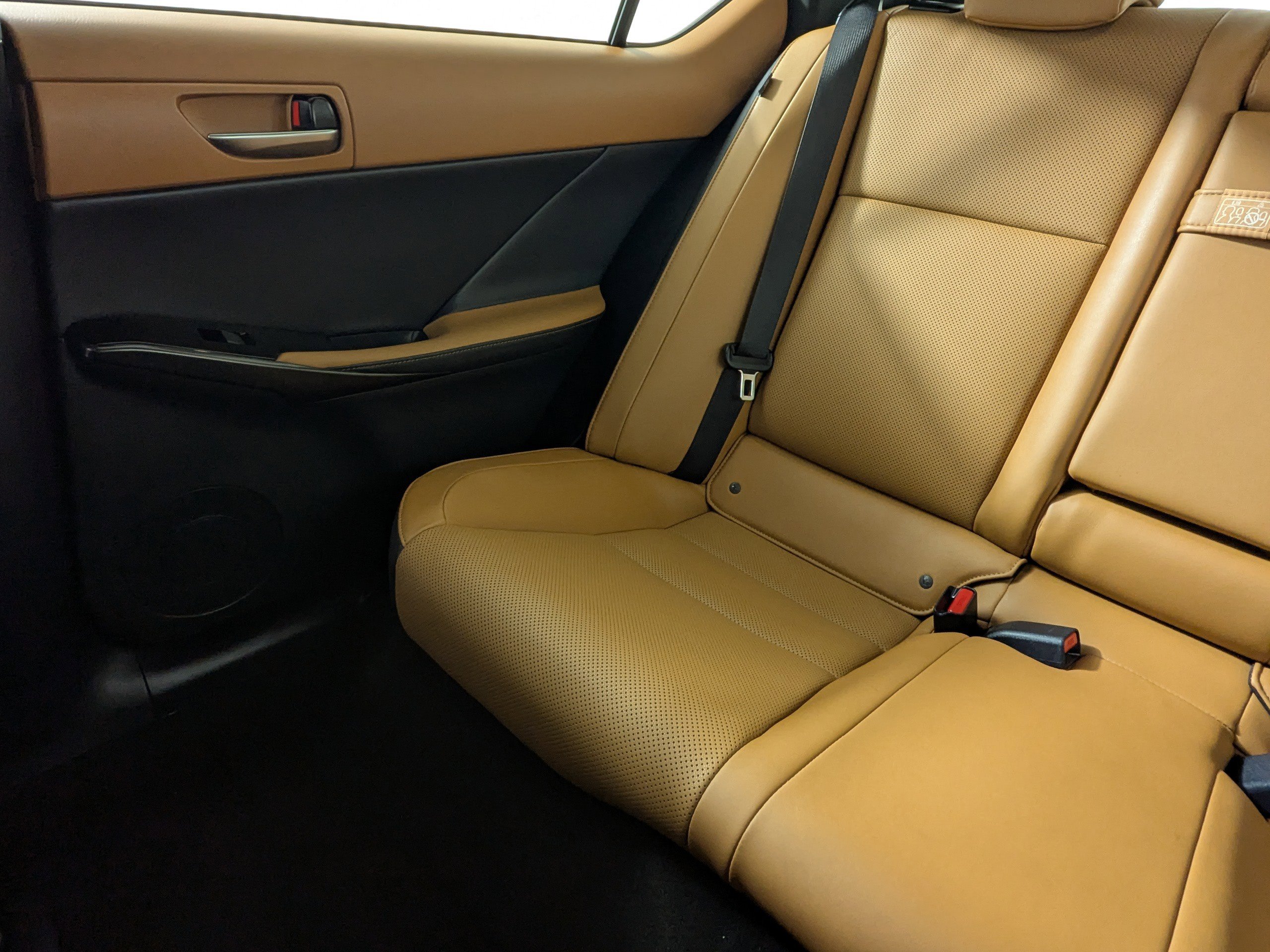 Used 2024 Lexus IS 300 w/ Comfort Package image 12