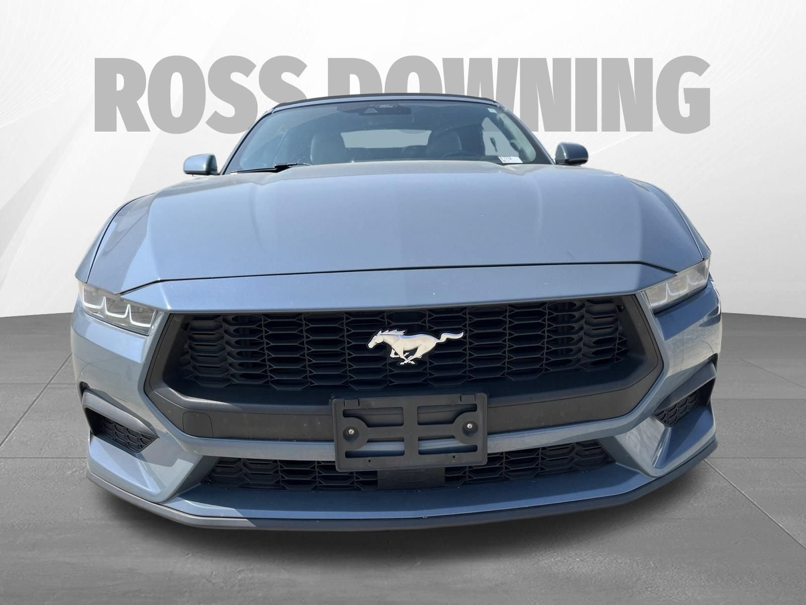 Used 2024 Ford Mustang Premium RWD image 2