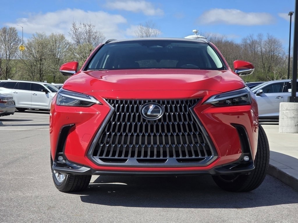 Used 2025 Lexus NX 350h AWD w/ Cold Area Package image 3
