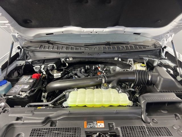 New 2025 Ford Expedition Tremor image 3