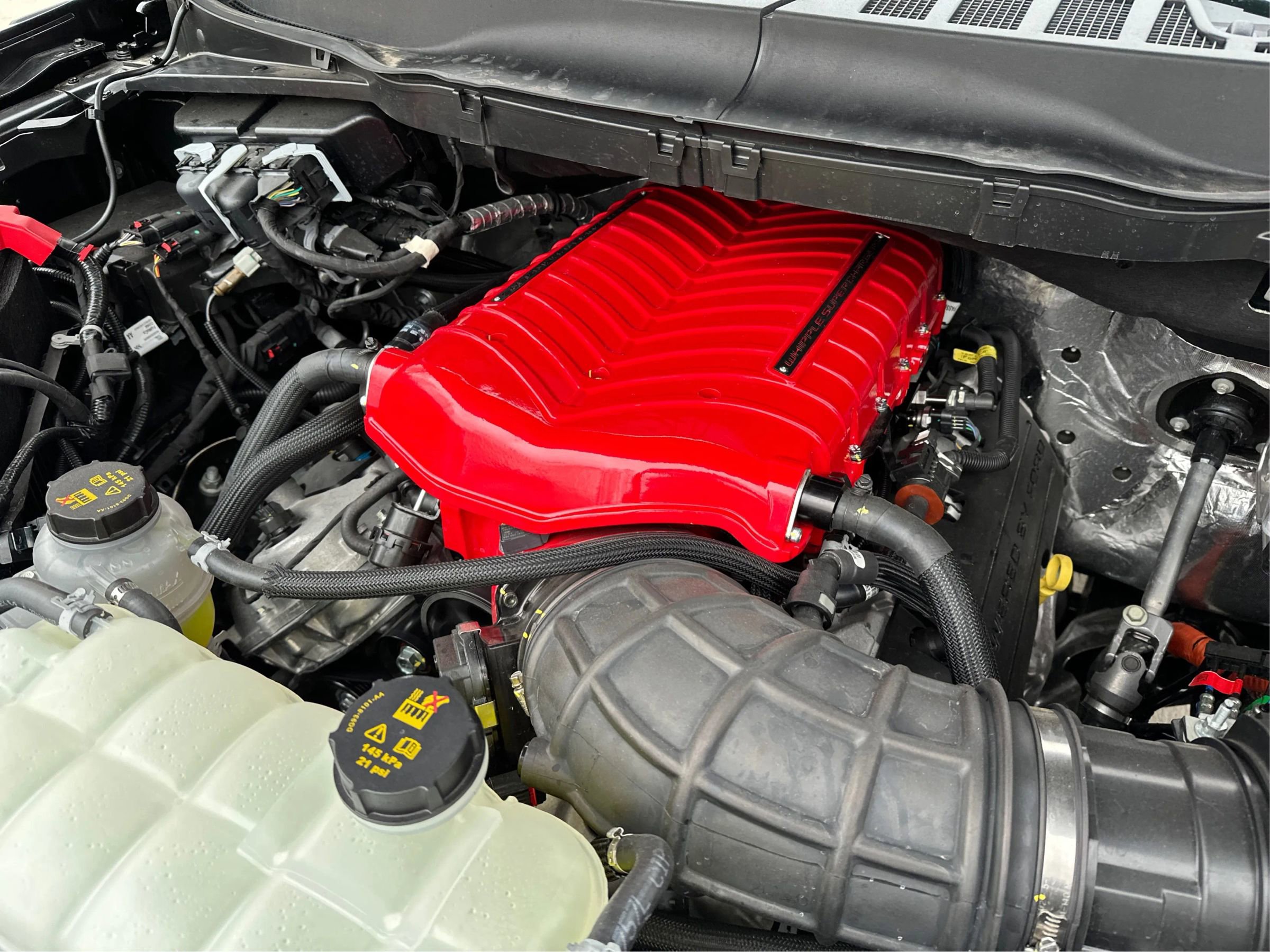 Used 2026 Ford F150 Raptor w/ Equipment Group 803A Raptor R image 1