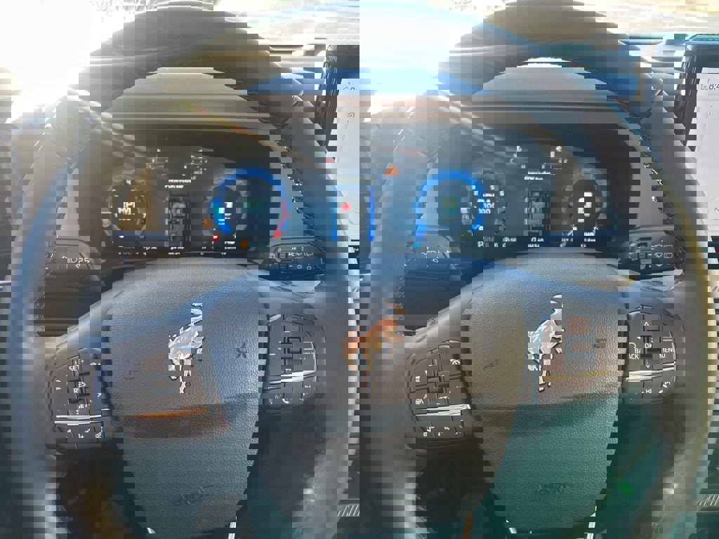 New 2025 Ford Bronco Sport Big Bend w/ Convenience Package image 13