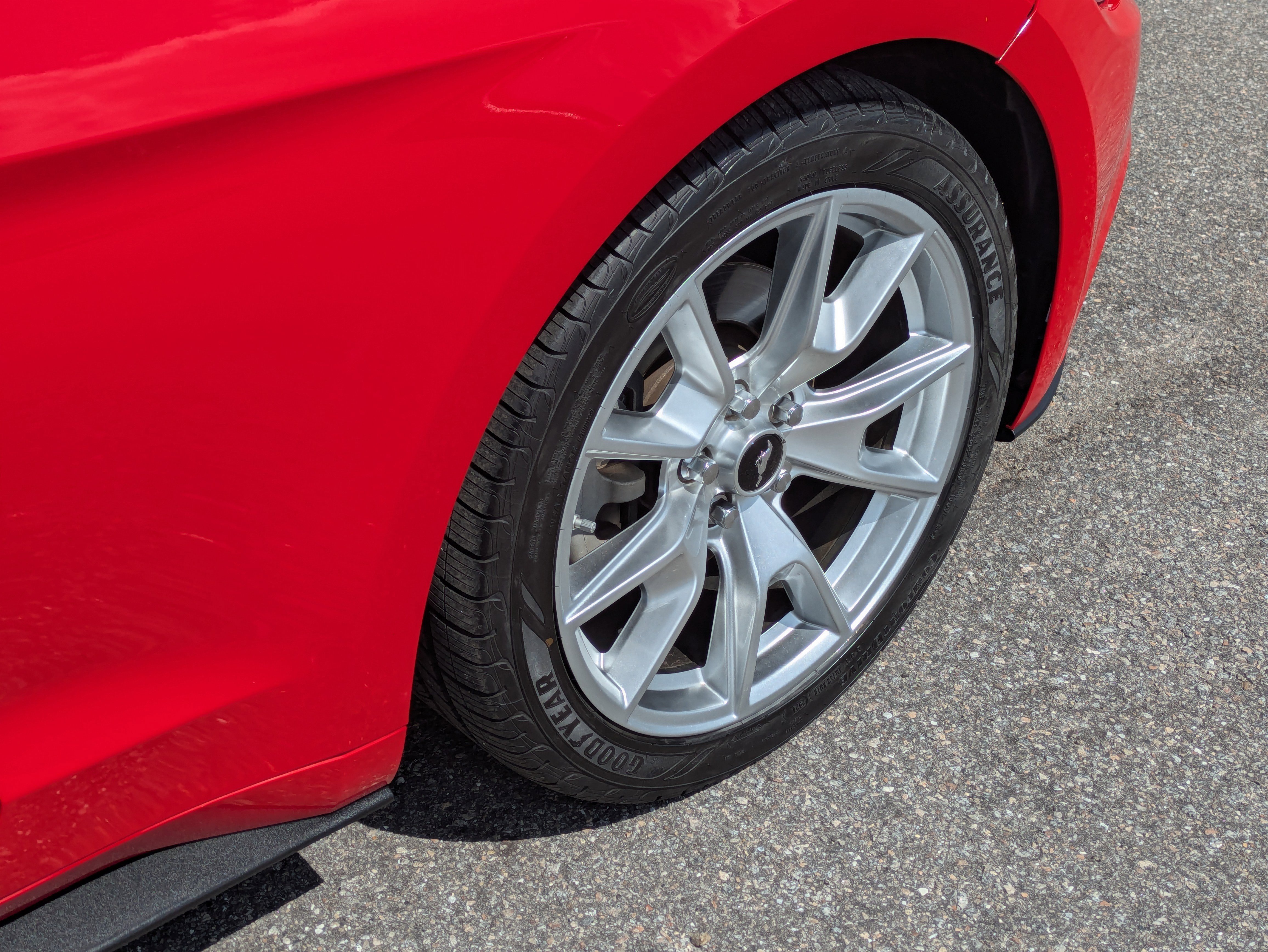 Used 2015 Ford Mustang Premium w/ 50 Years Appearance Package RWD image 12