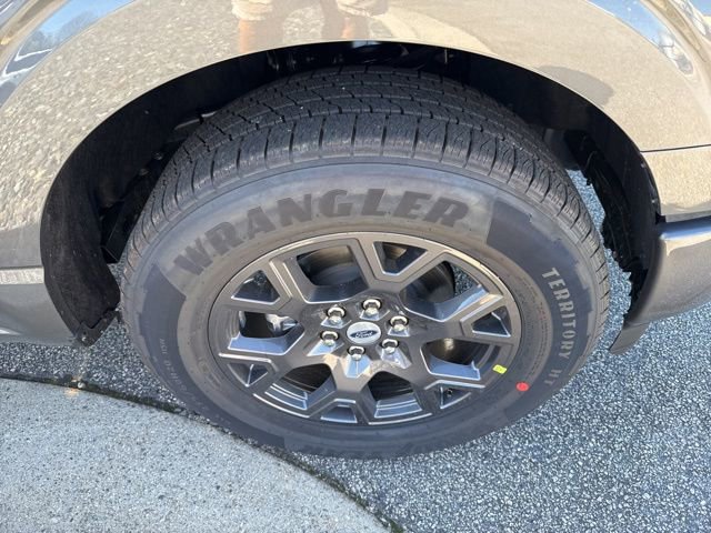 New 2026 Ford F150 STX w/ Equipment Group 200A image 13