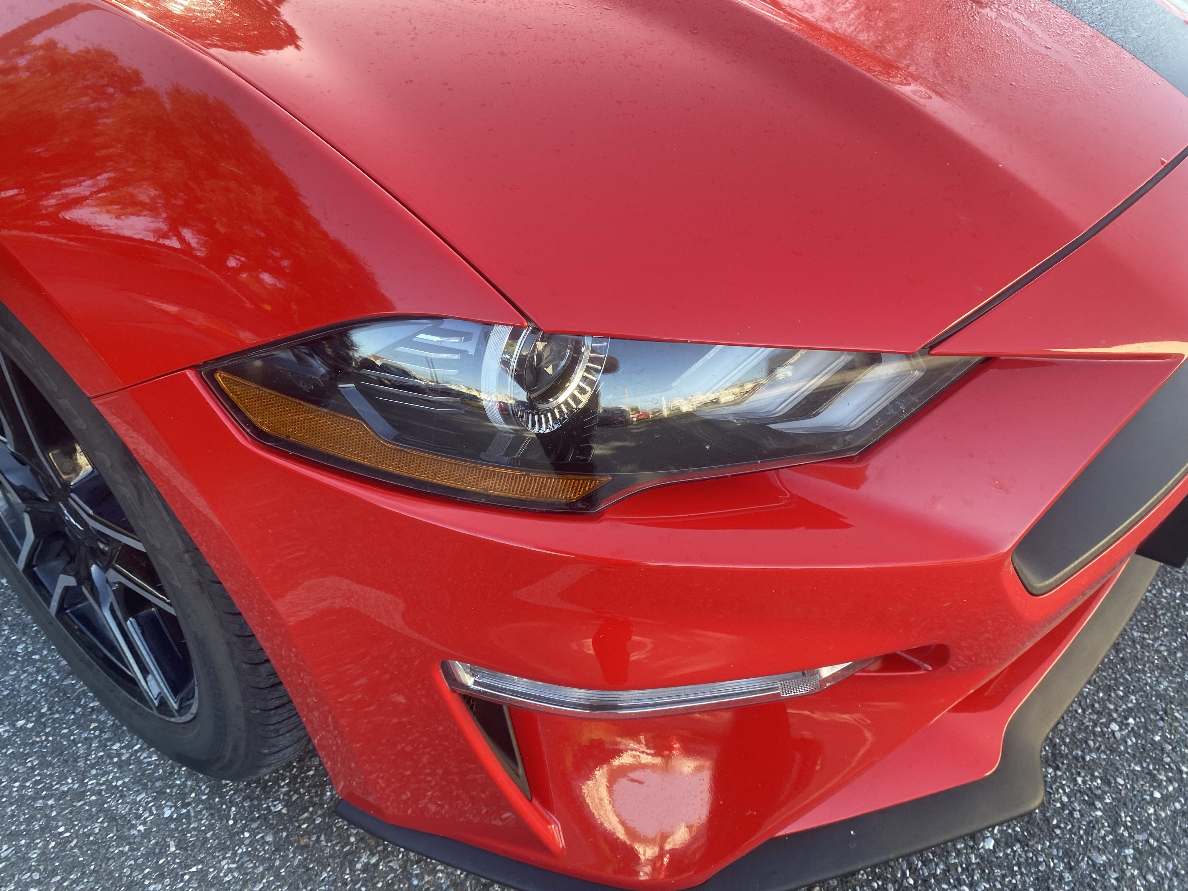 Used 2018 Ford Mustang Premium w/ Equipment Group 201A RWD image 16