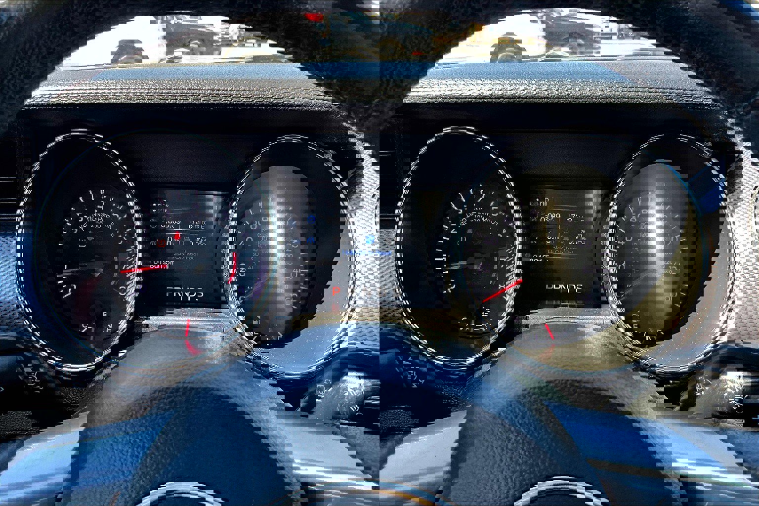 Used 2016 Ford Mustang EcoBoost image 20