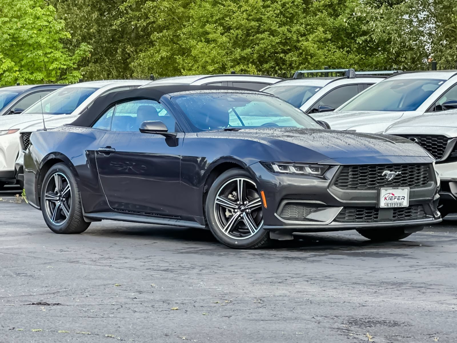 Used 2024 Ford Mustang Premium RWD image 9