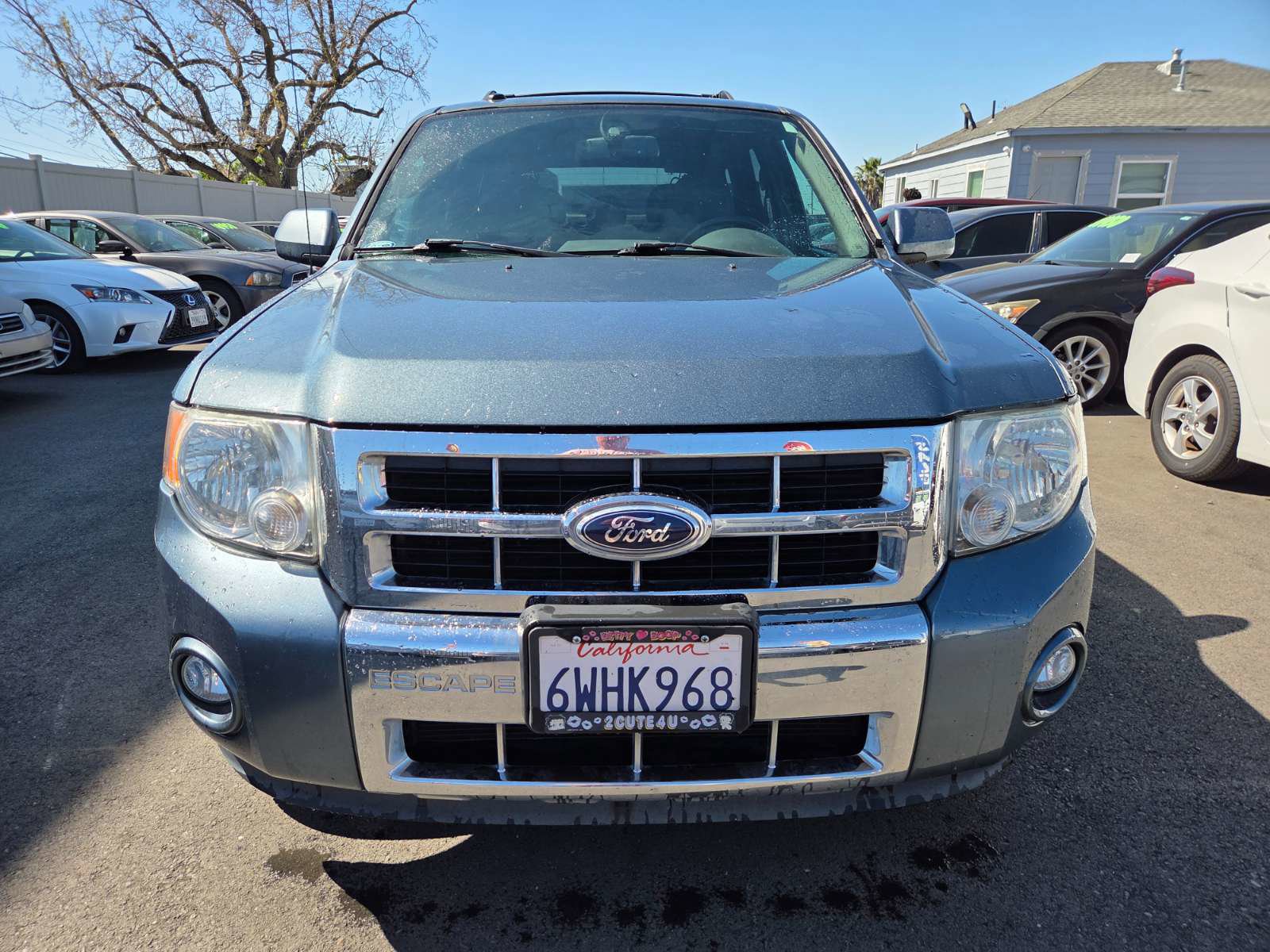 Used 2012 Ford Escape Limited image 6