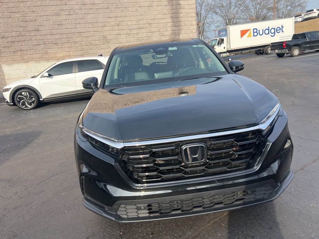 Used 2025 Honda CR-V EX-L image 8