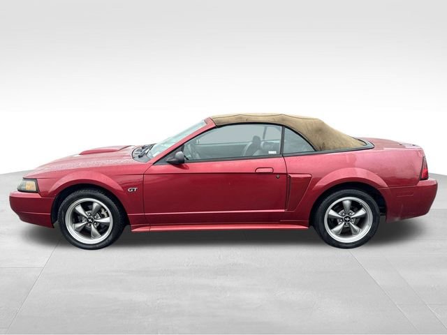 Used 2003 Ford Mustang GT image 2