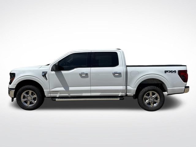 Used 2025 Ford F150 XLT w/ Equipment Group 301A Standard AWD/4WD image 7