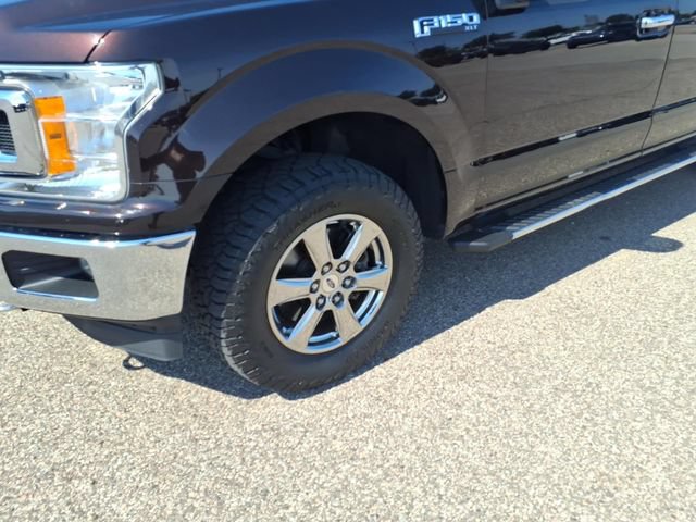 Certified 2020 Ford F150 XLT w/ Equipment Group 302A Luxury AWD/4WD image 4