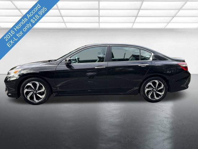 Used 2016 Honda Accord EX-L image 2