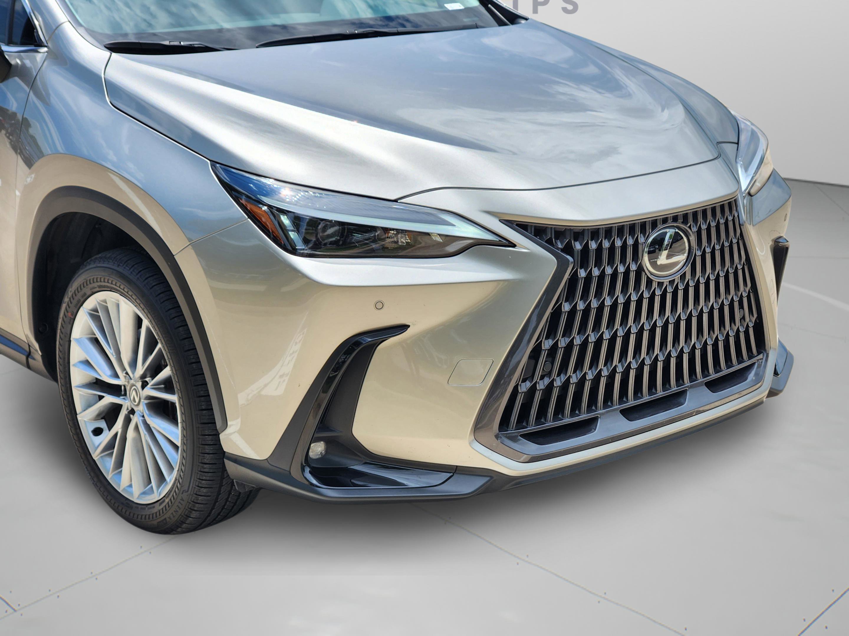 Used 2025 Lexus NX 350 AWD w/ Premium Package image 30