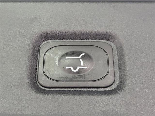 New 2025 Ford Expedition Tremor image 10