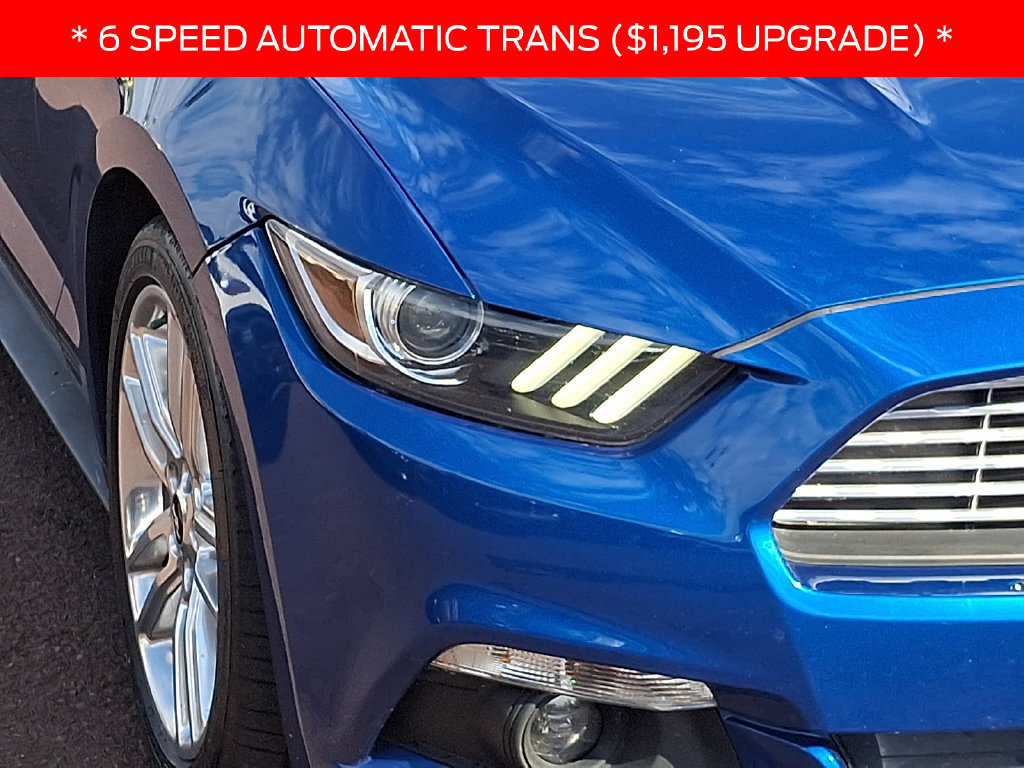 Used 2017 Ford Mustang Premium w/ Equipment Group 201A RWD image 9