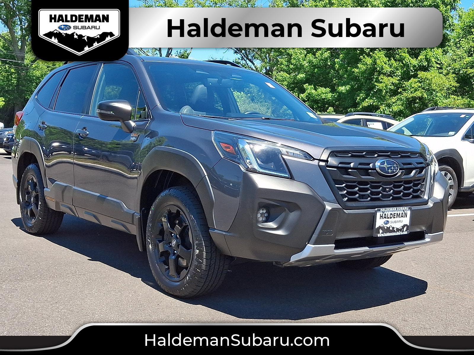 Used 2022 Subaru Forester Wilderness AWD/4WD image 1