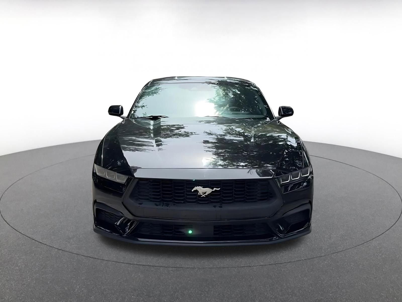 Used 2024 Ford Mustang Premium image 4