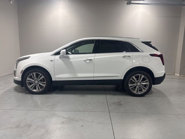 Used 2024 Cadillac XT5 Premium Luxury image 10