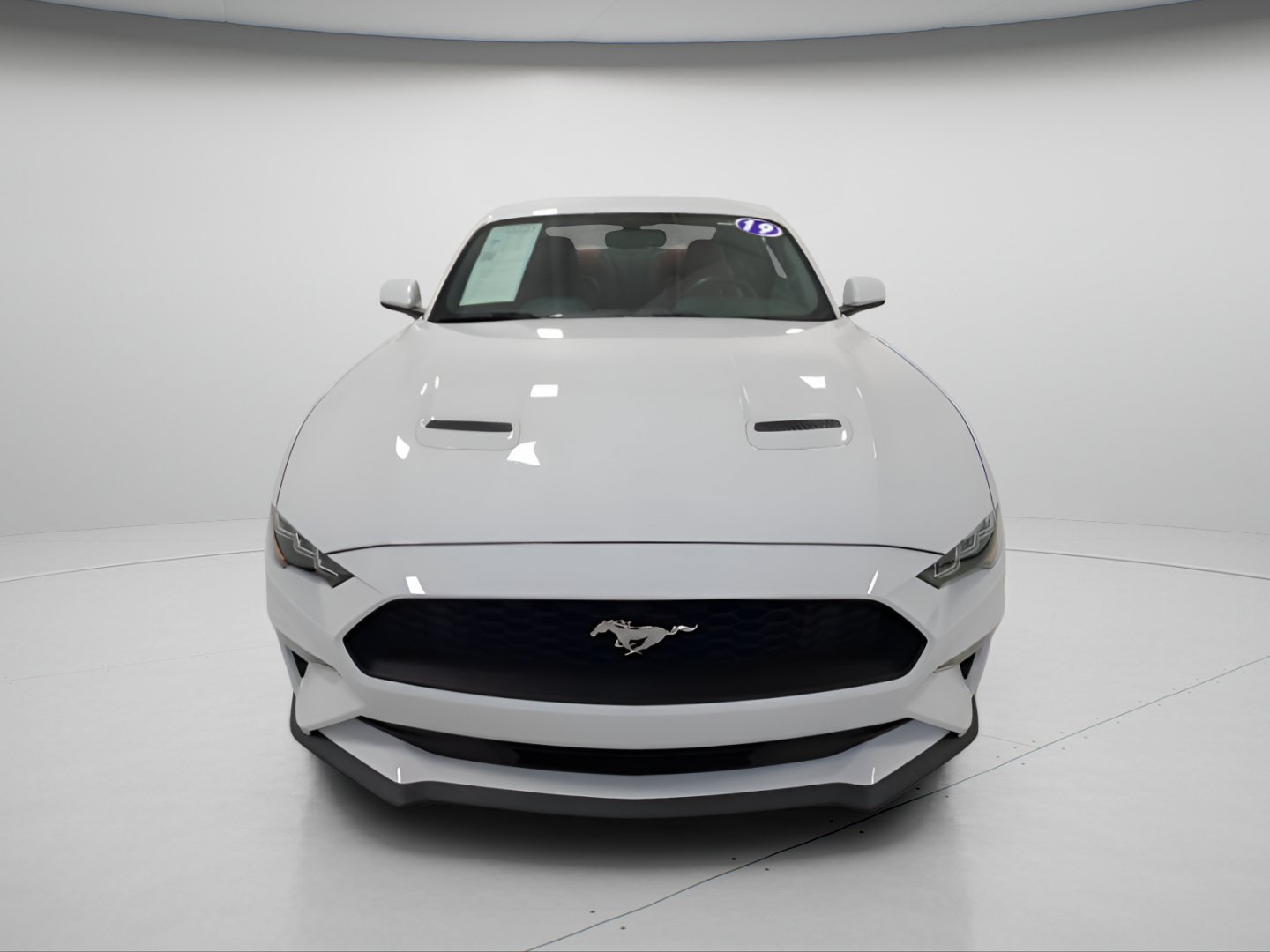 Used 2019 Ford Mustang Coupe w/ Equipment Group 101A RWD image 2