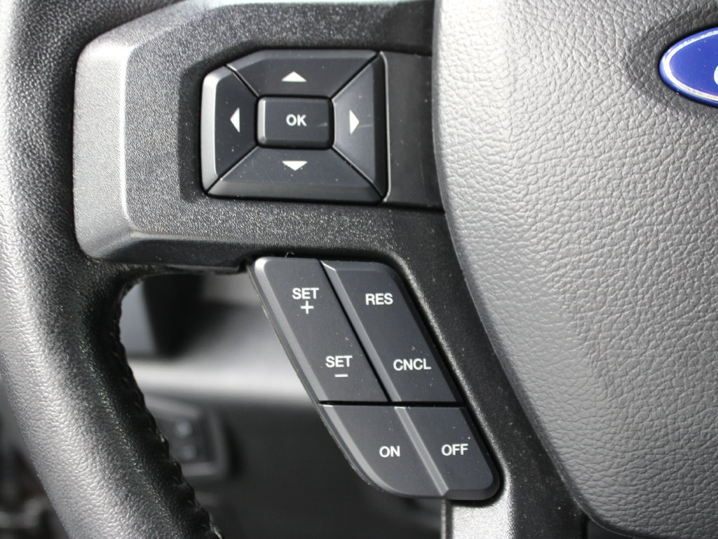 Used 2019 Ford F150 XLT w/ Equipment Group 301A Mid AWD/4WD image 50