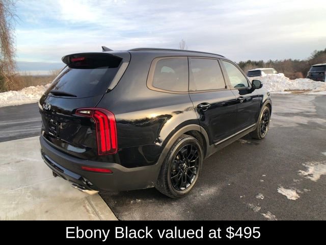 Used 2022 Kia Telluride SX w/ SX Prestige Package image 6