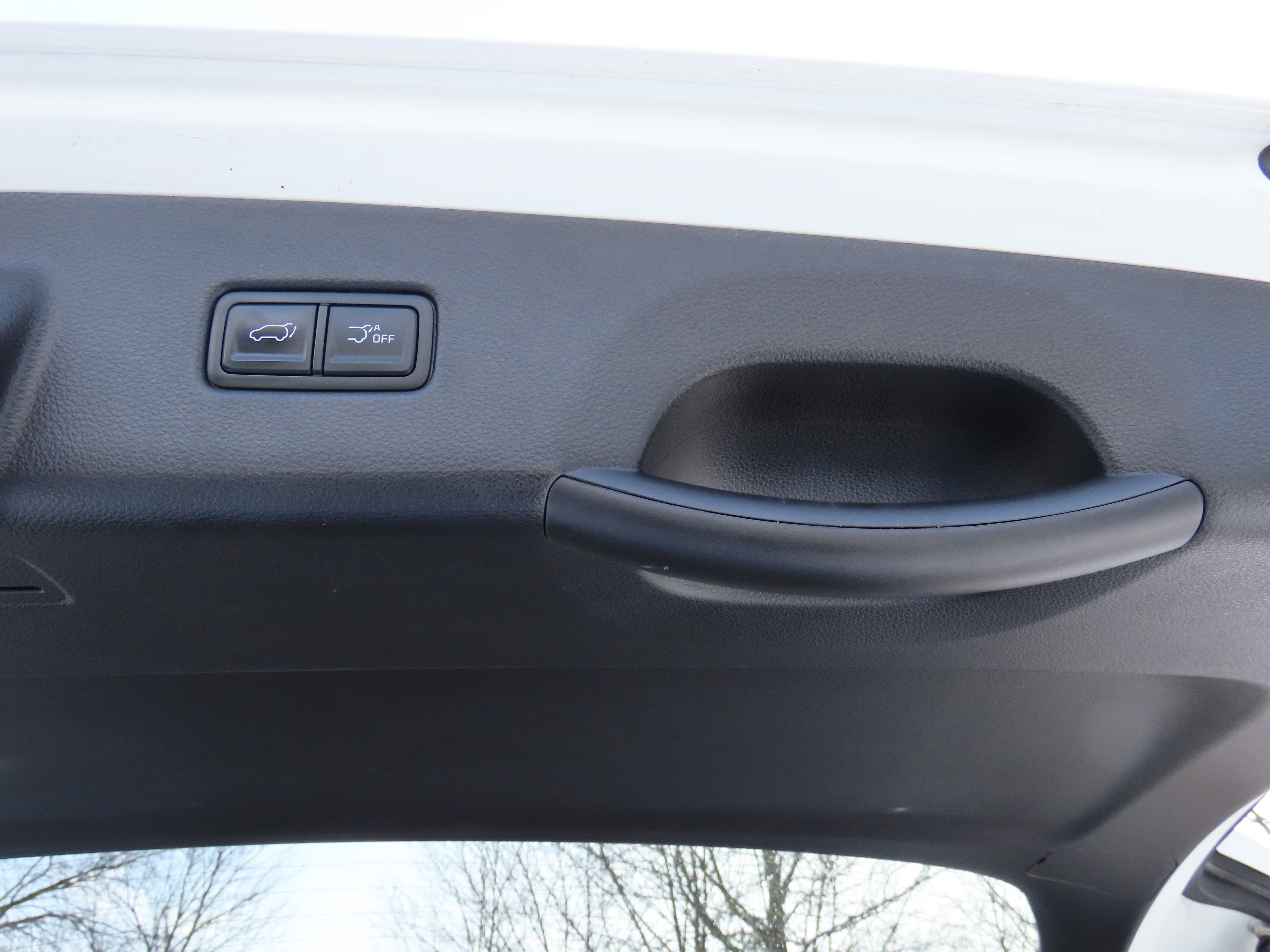 Used 2024 Kia Carnival SX Prestige image 18