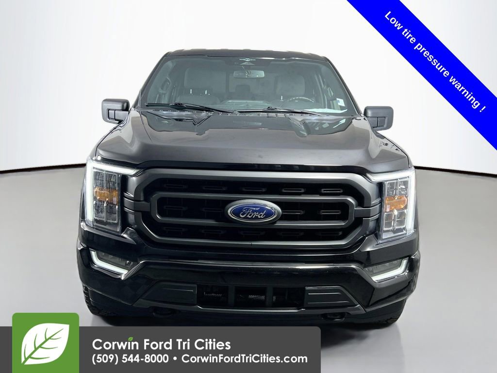 Used 2023 Ford F150 XLT w/ Equipment Group 302A High image 4