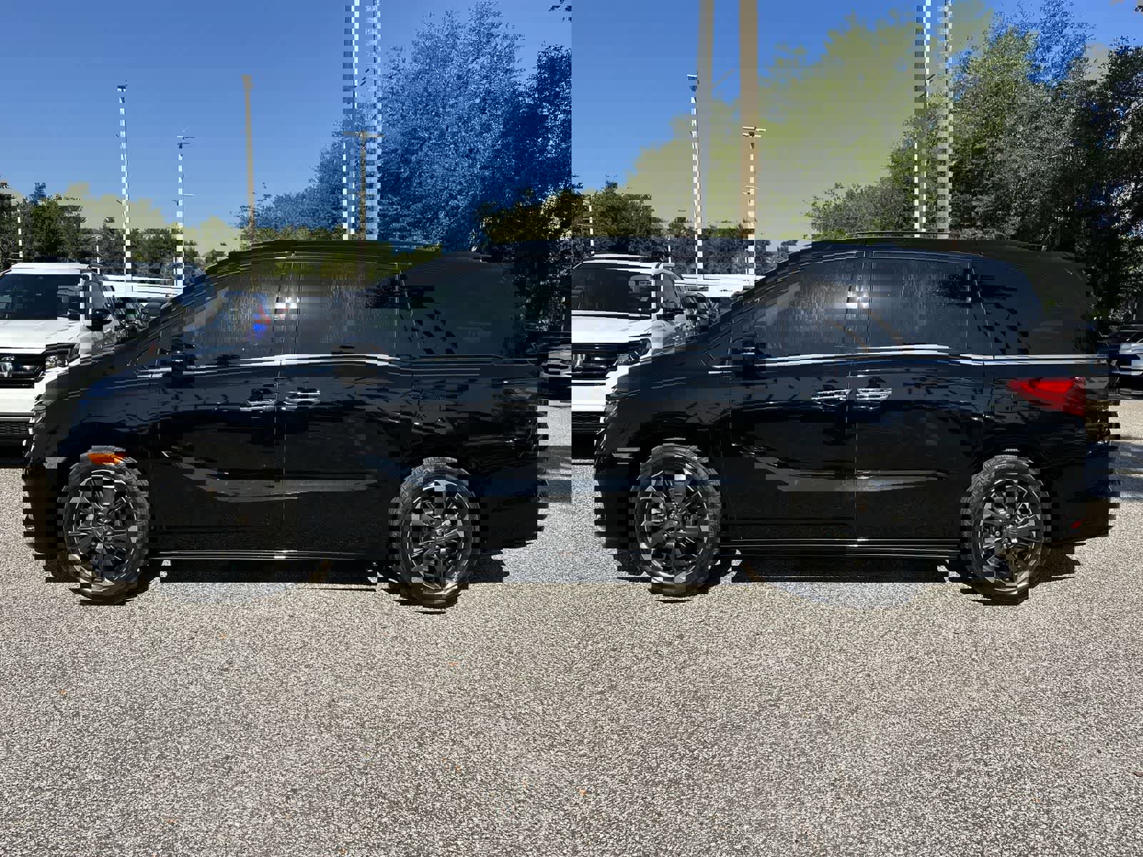 Used 2024 Honda Odyssey Elite image 4