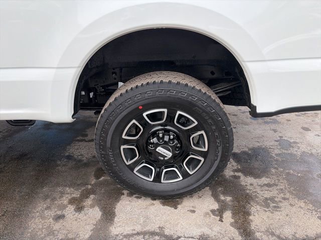 New 2026 Ford F250 Platinum image 5