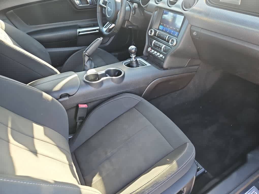 Used 2019 Ford Mustang GT w/ Equipment Group 301A RWD image 14