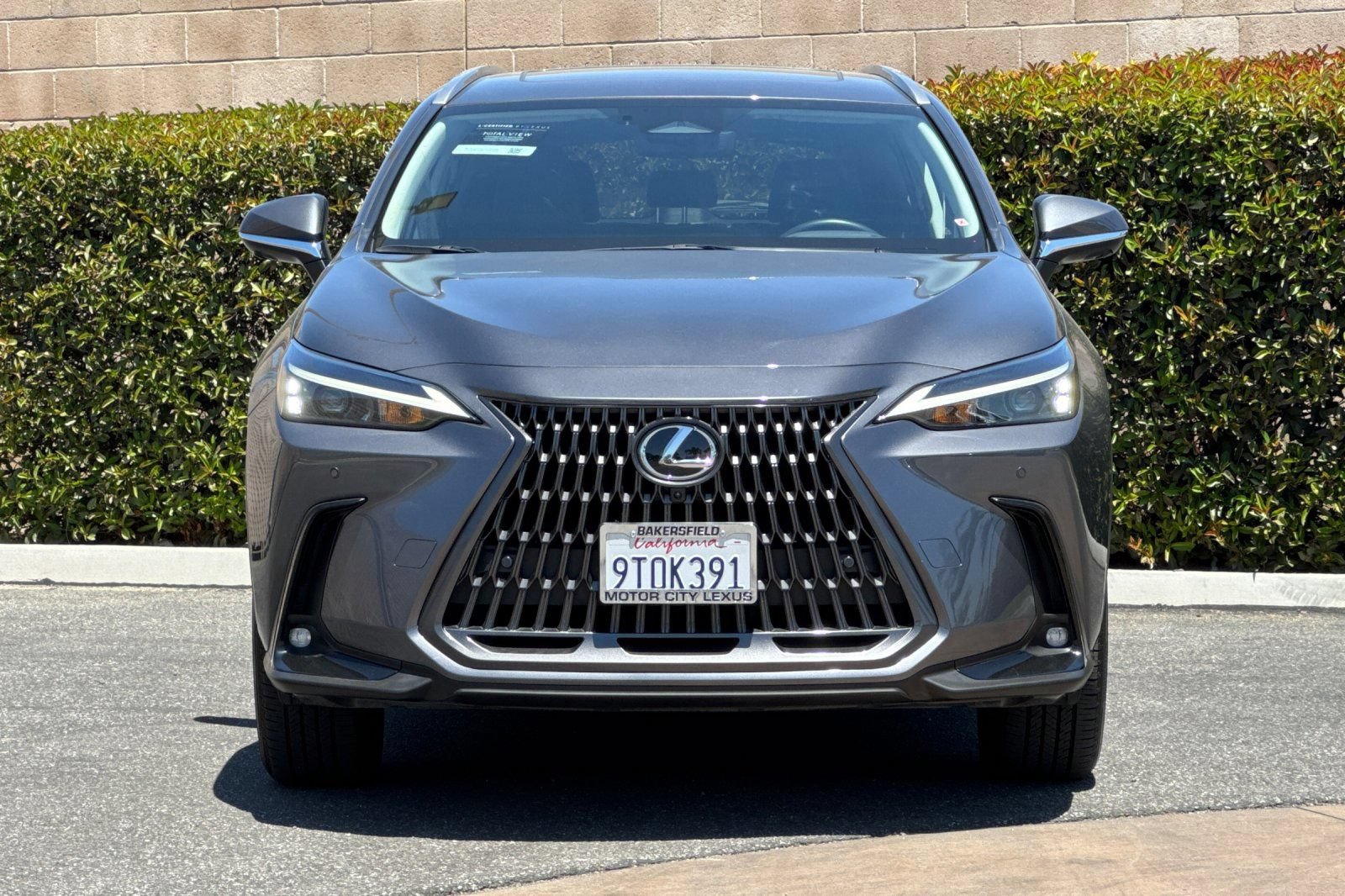 Certified 2025 Lexus NX 350h AWD w/ Cold Area Package image 10