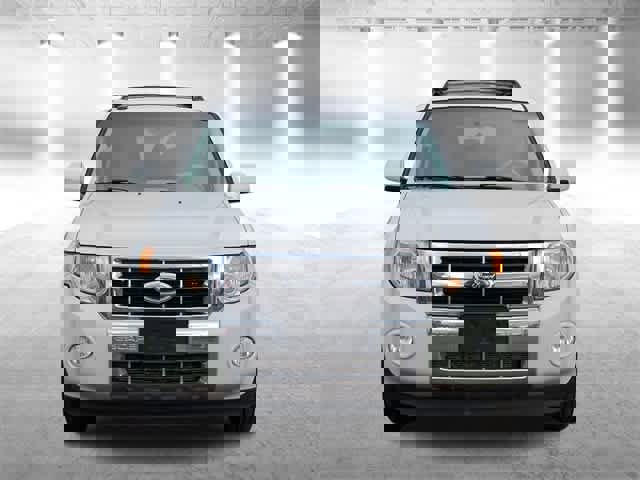 Used 2010 Ford Escape Limited image 3