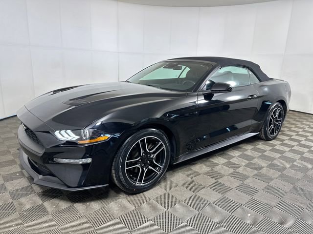 Used 2023 Ford Mustang Premium image 7